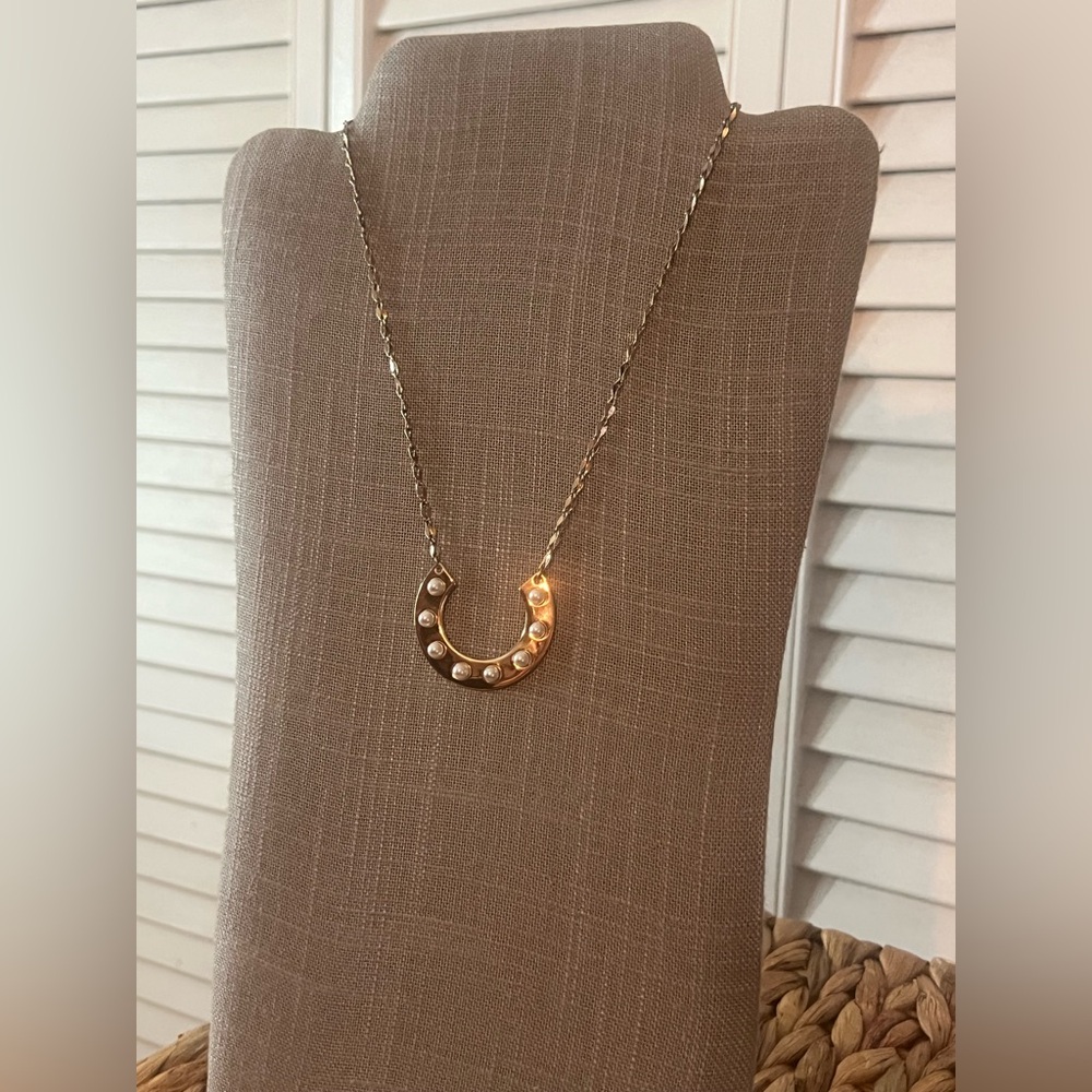🎃Park Lane Stampede Necklace